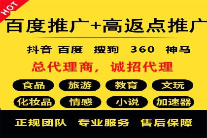 SEM运营公司经典案例点评